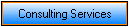 Consulting Services